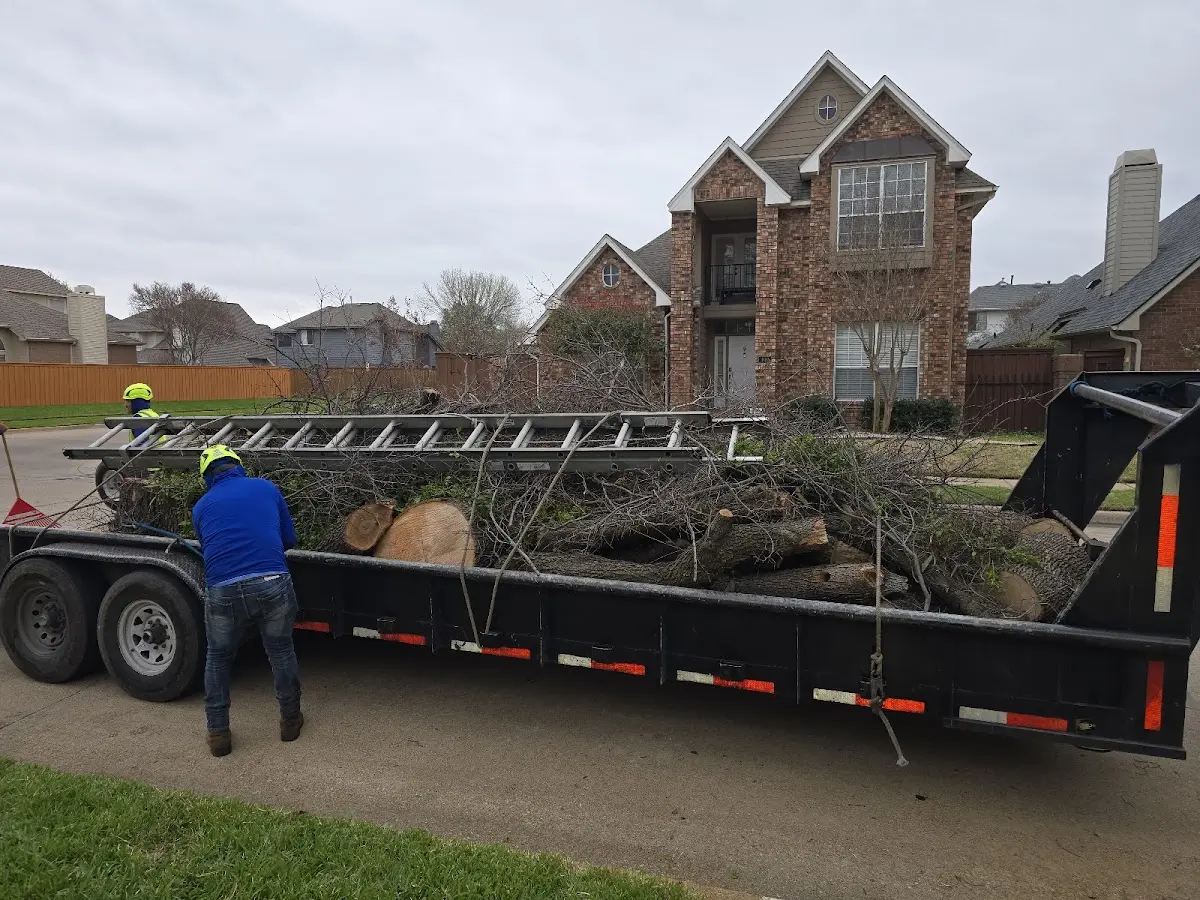 Expert Tree Removal with proper safety equipment in Short Hills